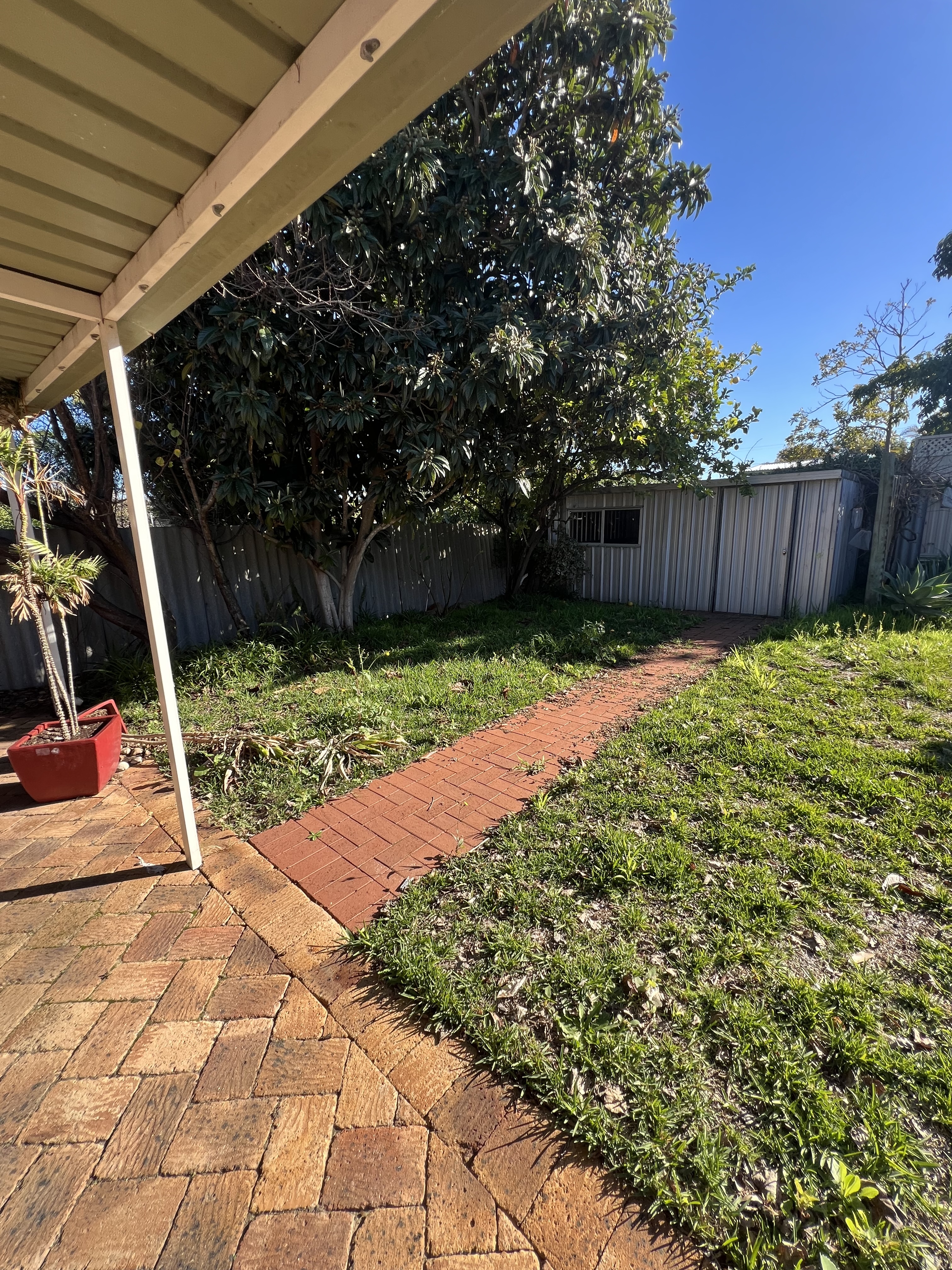 Before garden clean up photo in Hamersley