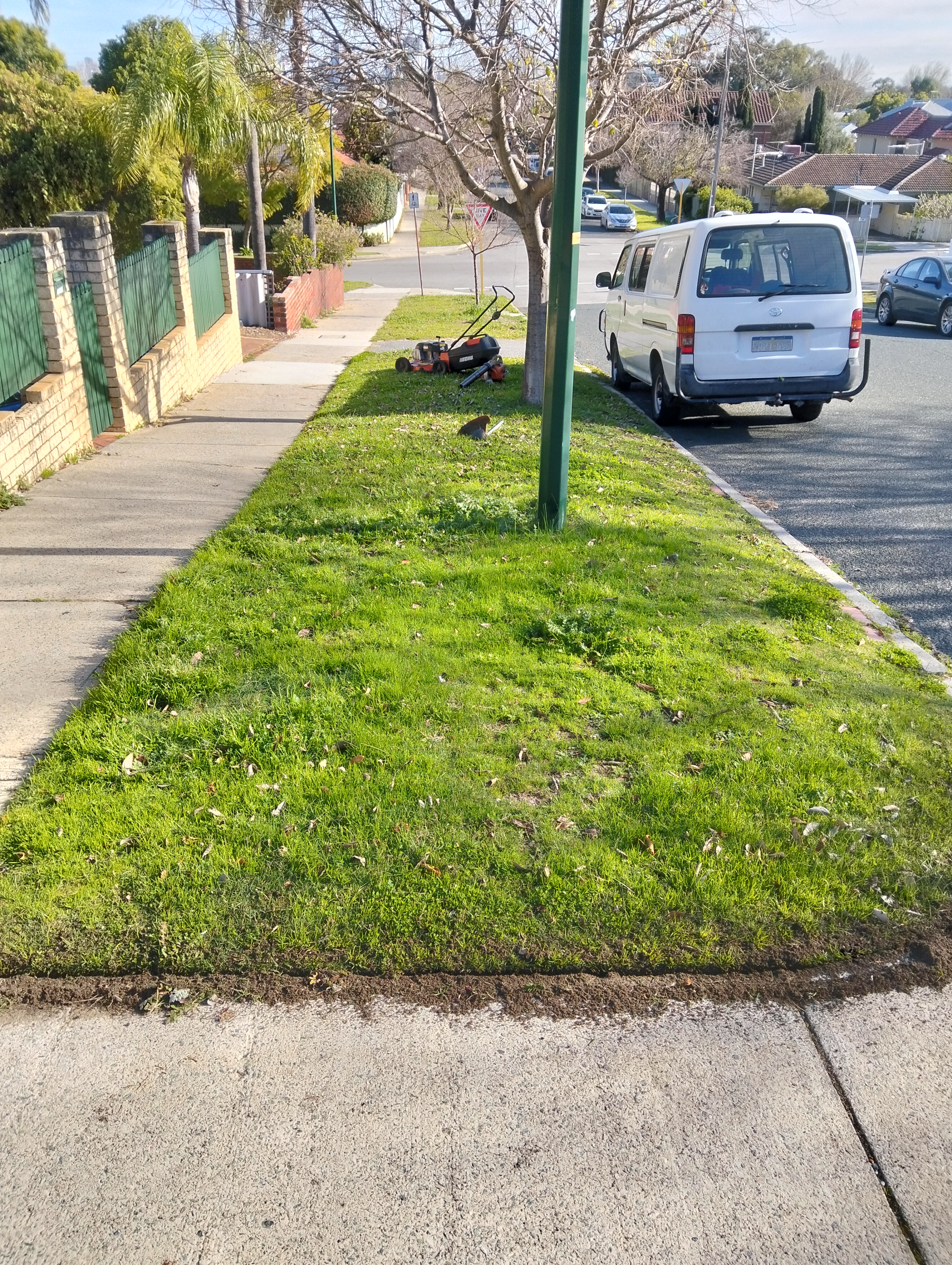 Before garden maintenance photo in Victoria Park