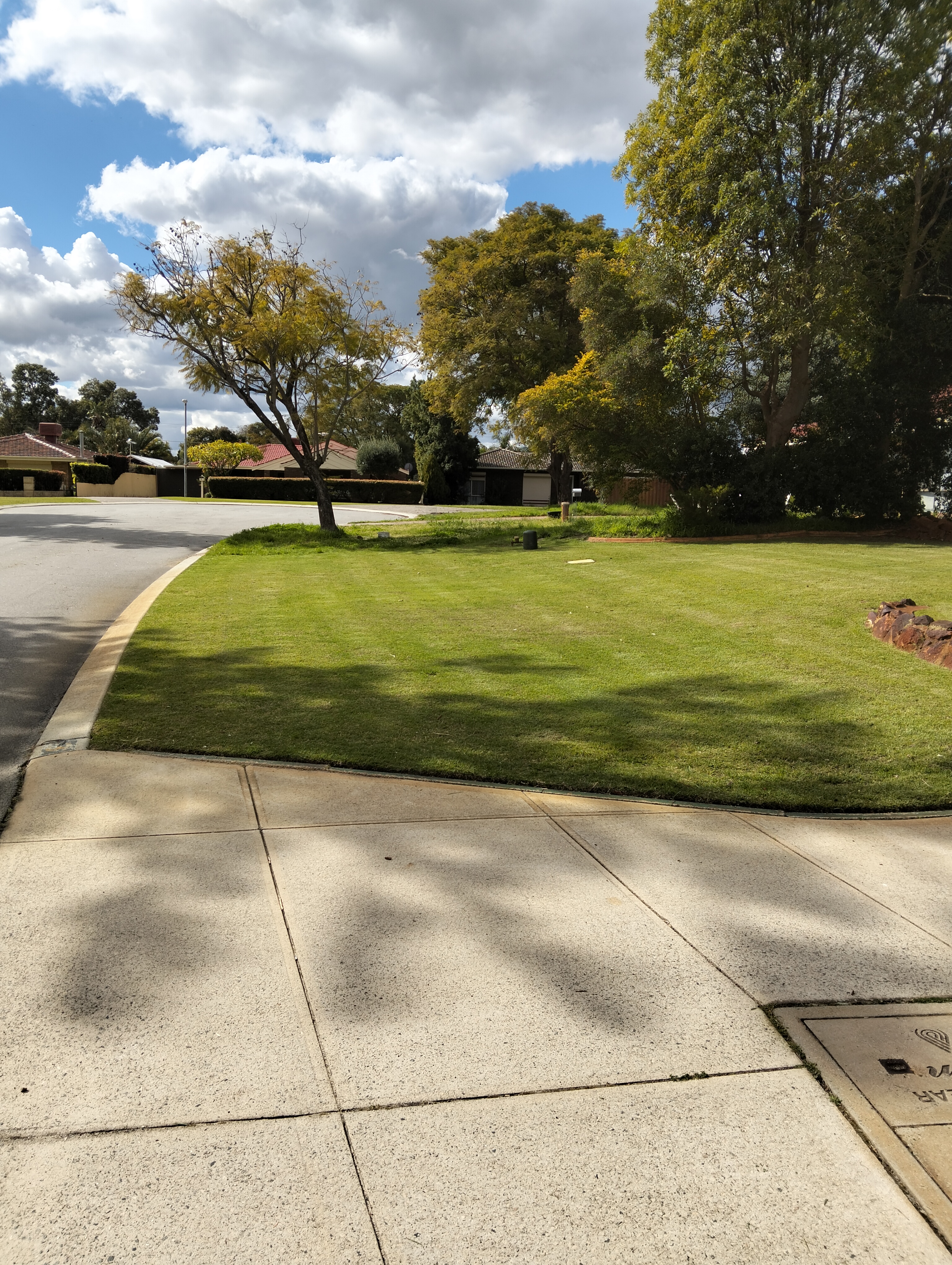 Before lawn mowing photo in Gosnells