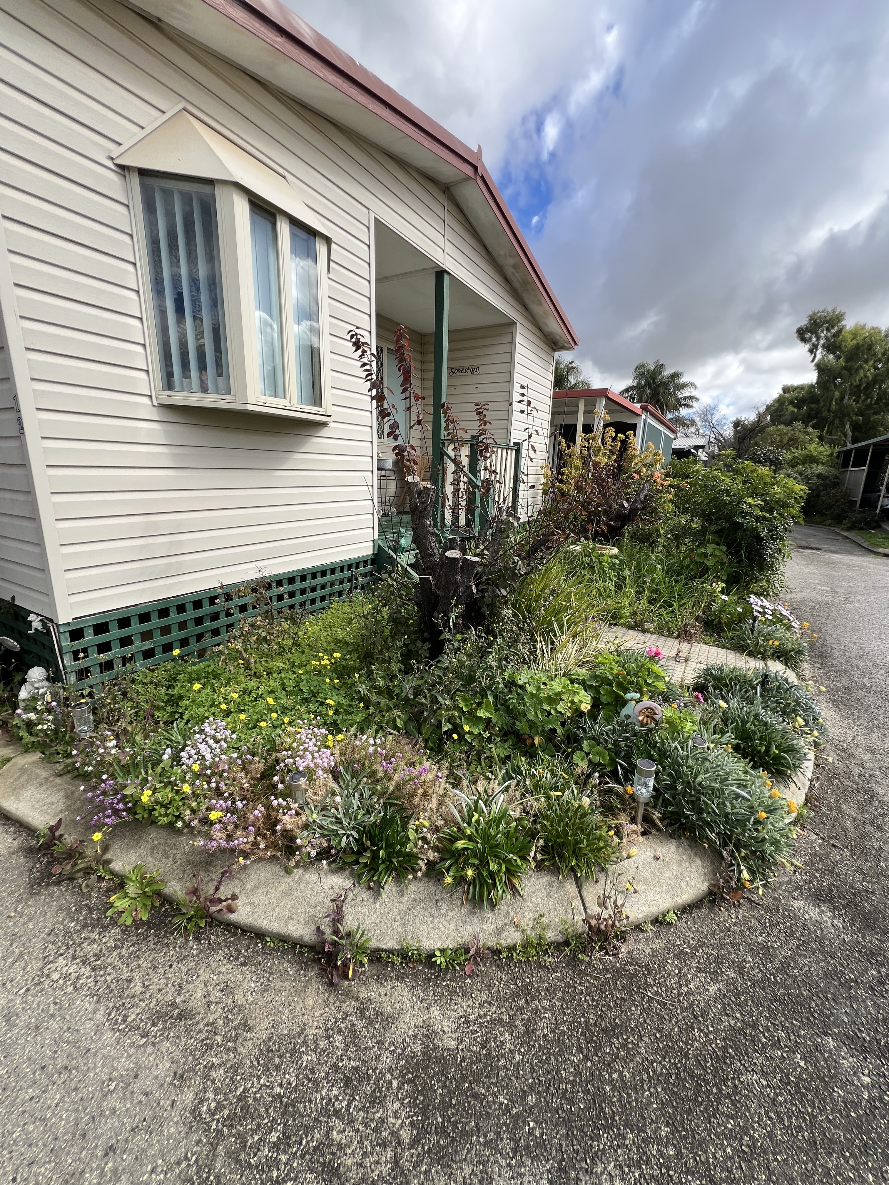 Before garden clean up photo in Forrestfield