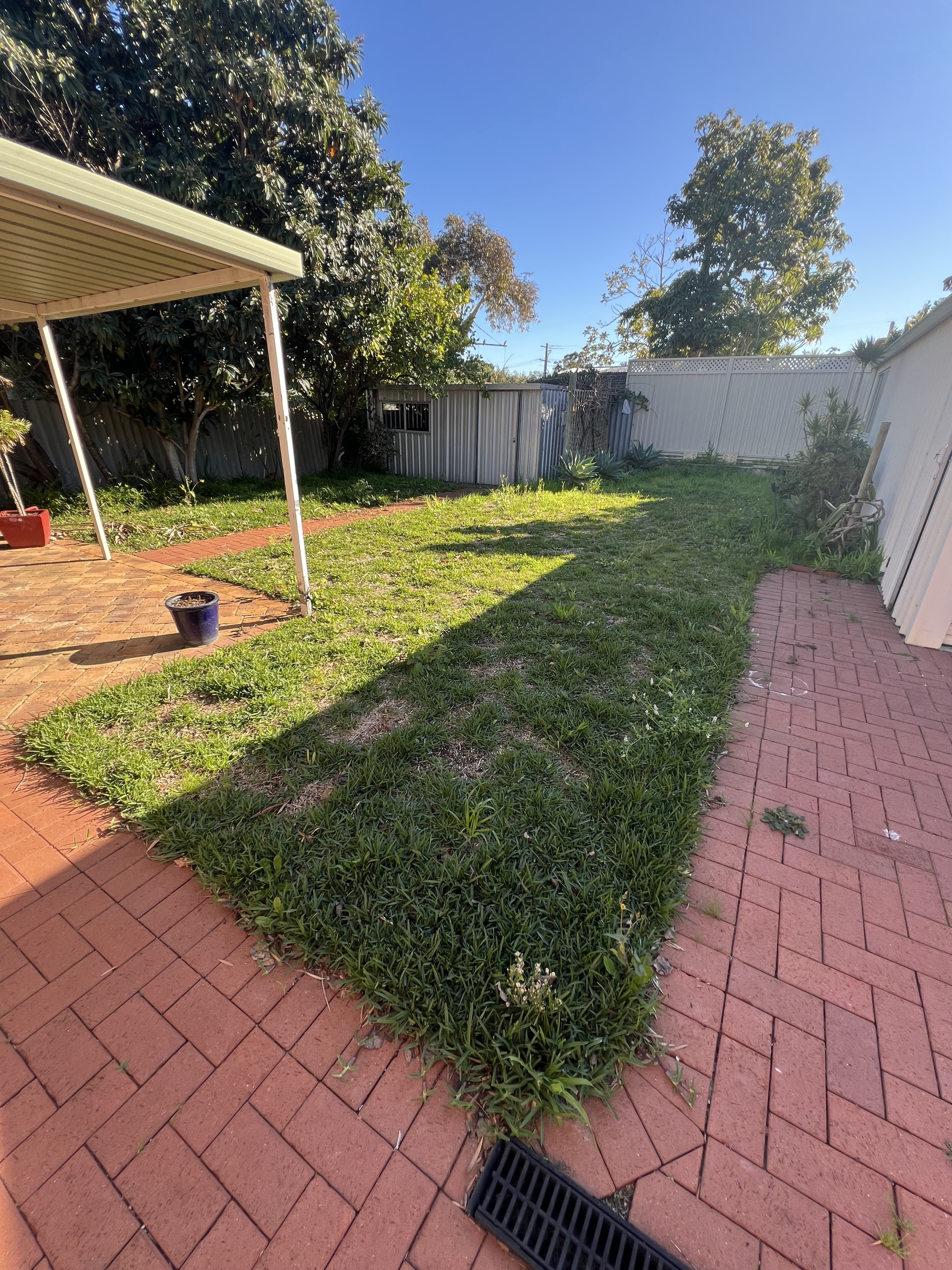 Before garden clean up photo in Hamersley