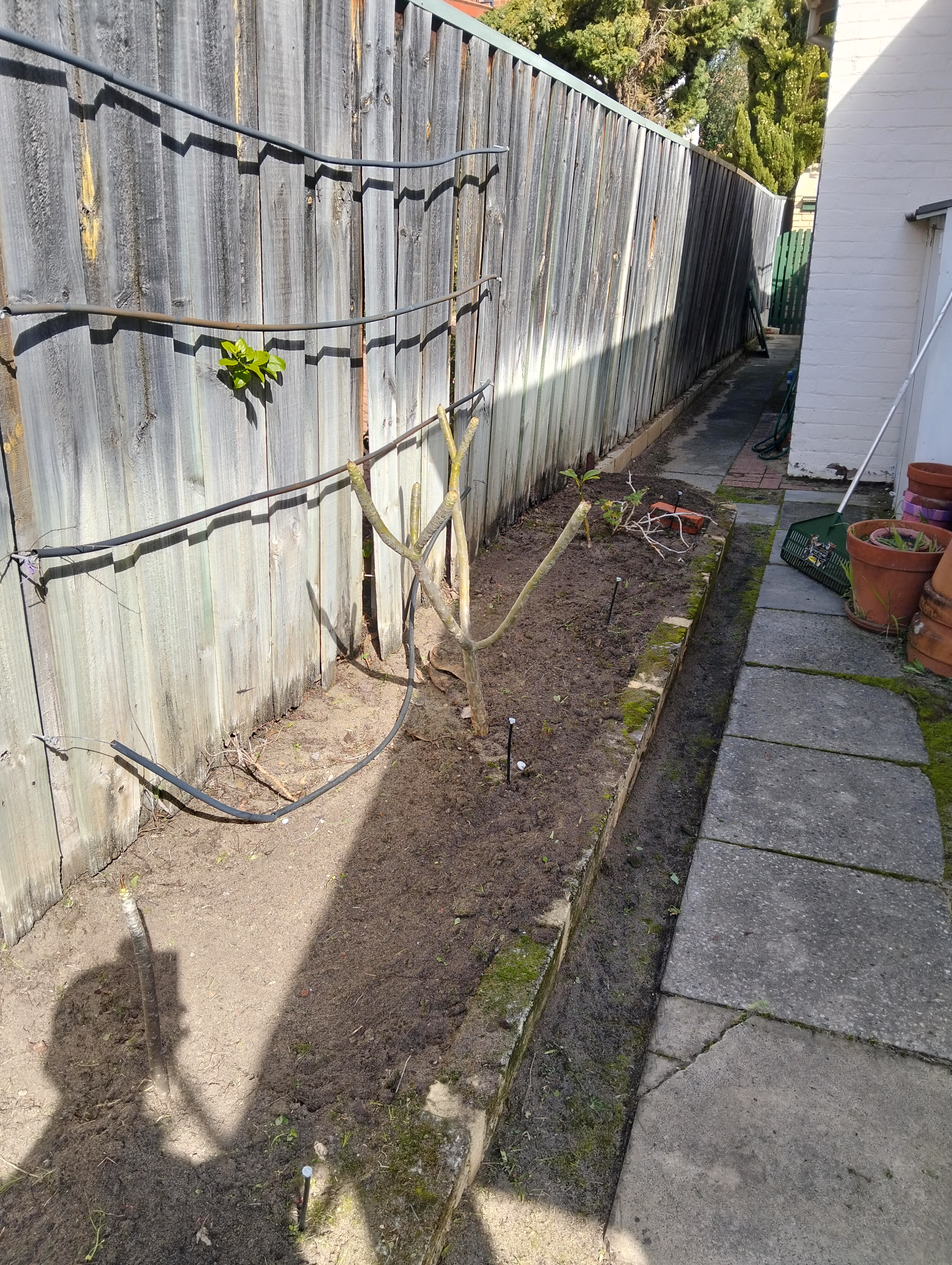 After garden maintenance photo in Victoria Park