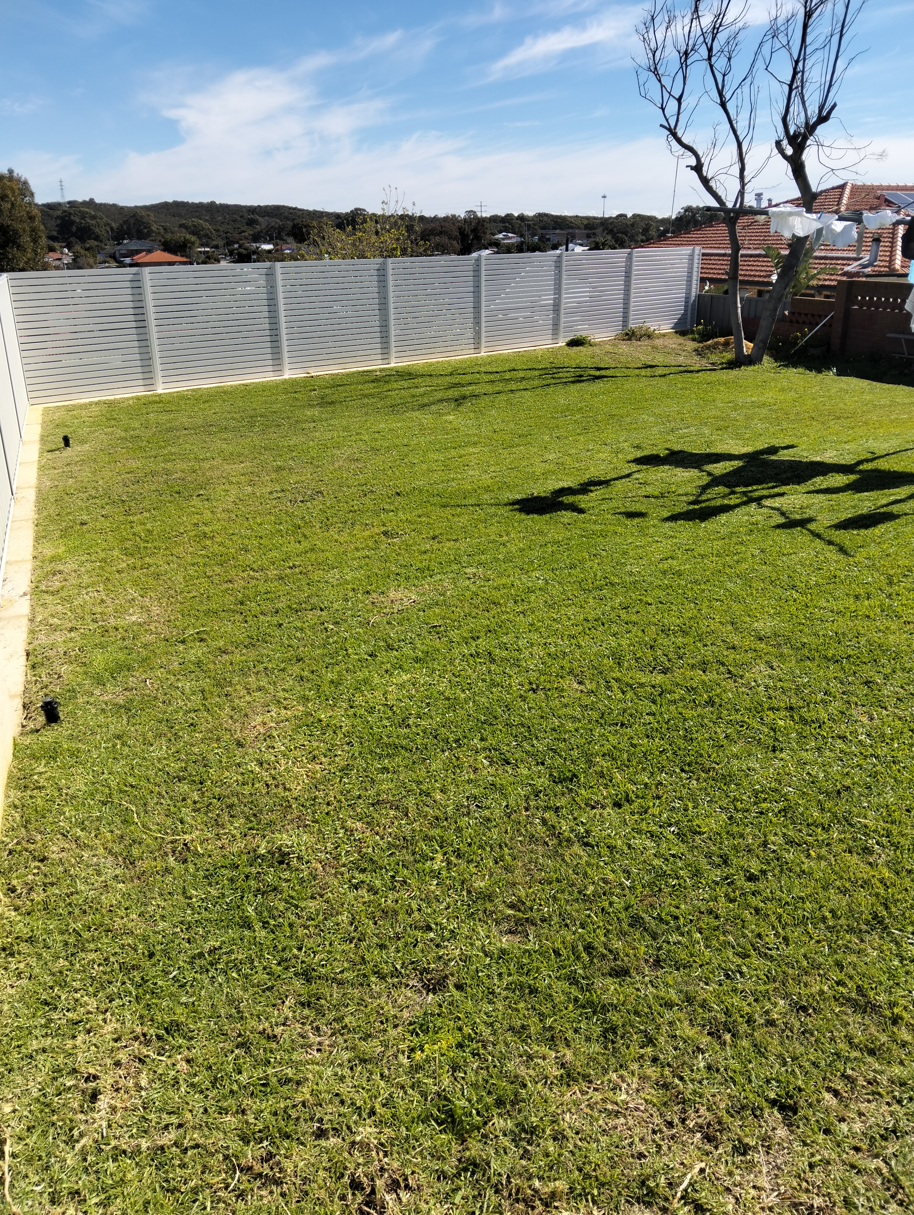 After lawn mowing photo in Hamilton Hill